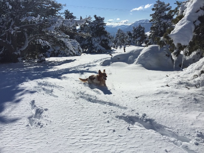 du mas des Vernets - Sortire détente dans la Neige..