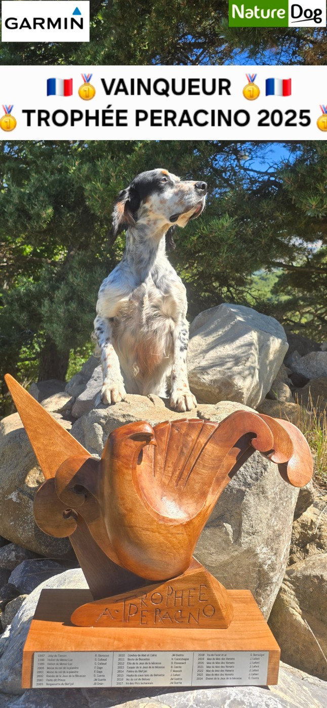 TR. CH. Silver dit salto du mas des Vernets