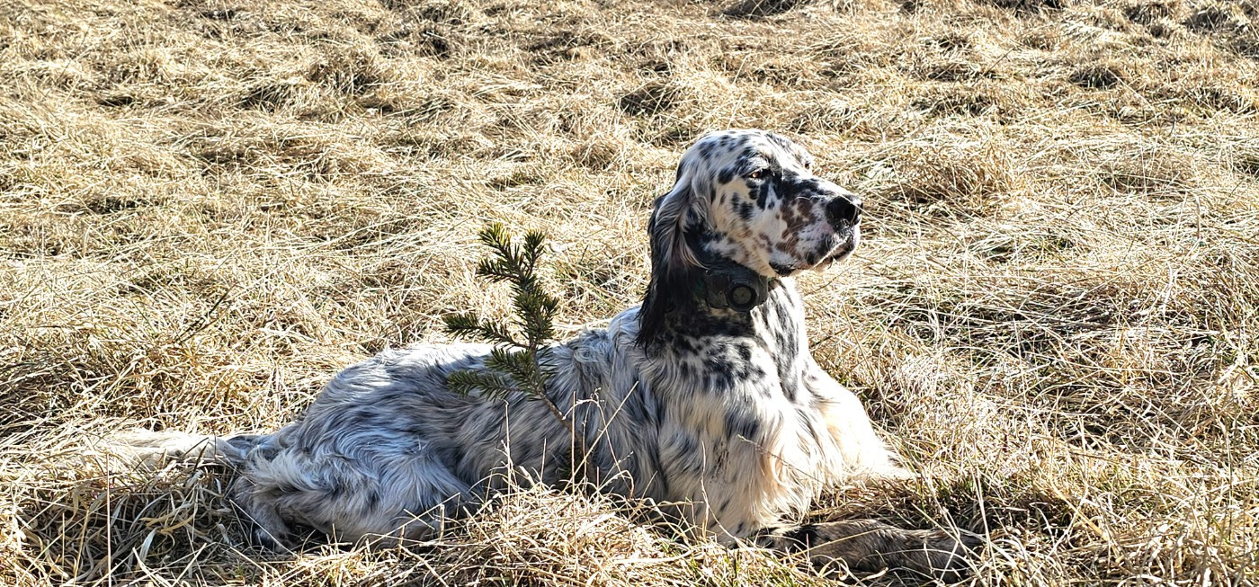 URGO du mas des Vernets